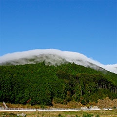 北山村 自然 インスタグラムイメージ