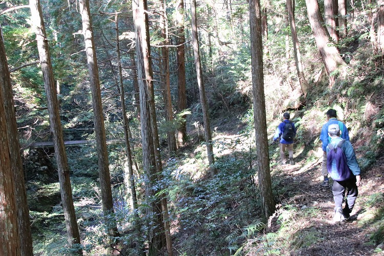 このような道をひたすら下ります。