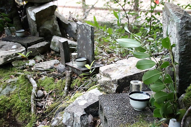 壮大な北山川を望む！オトノリ園地に寄ってって！（神護・音乗）