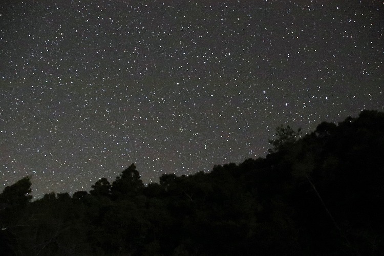 掴んで食べられる、飴玉のような星が輝く夜空！？北山村の、透き通った冬の星空。