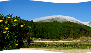 飛び地の村 イメージ